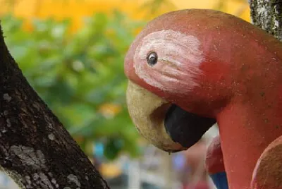 Toy