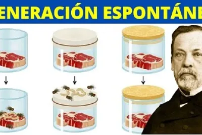 Generación espontánea jigsaw puzzle