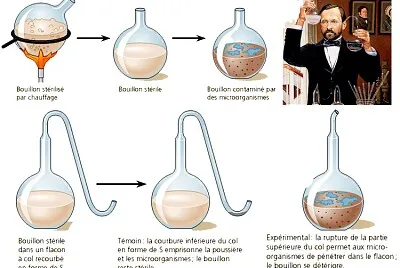 LOUIS PASTEUR jigsaw puzzle