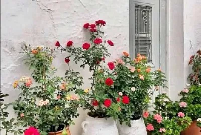 flores jigsaw puzzle