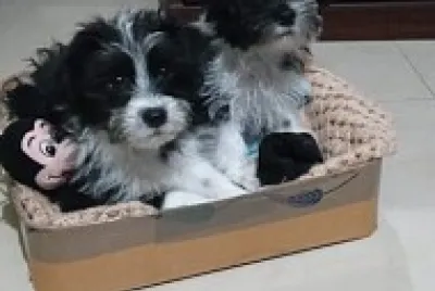 Hermano y Hermana jigsaw puzzle