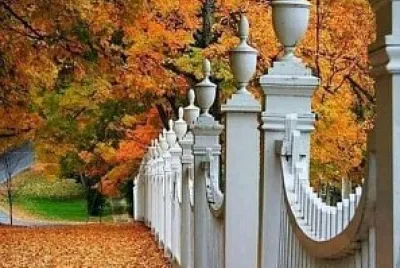 jardín