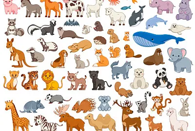 animals