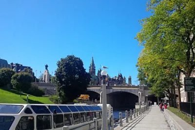 Toy