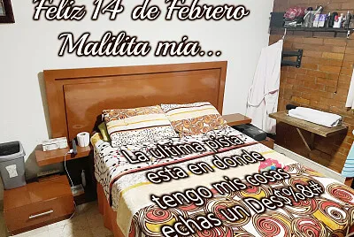 14 febrero