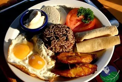 comida tipica