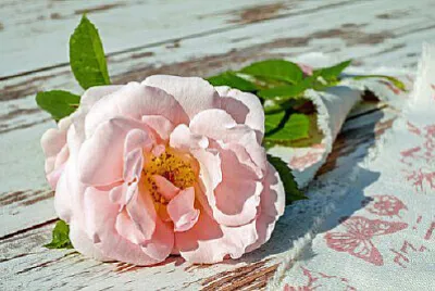 OK