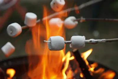 malvadicos
