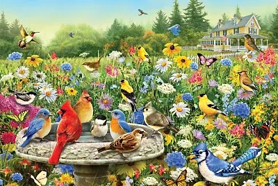 Reunion d 'oiseaux