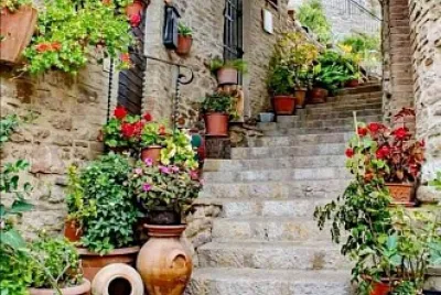 flores