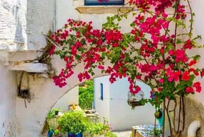 flores