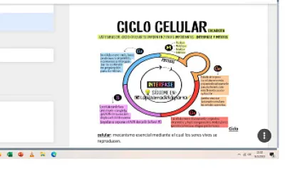 EL CICLO CELULAR