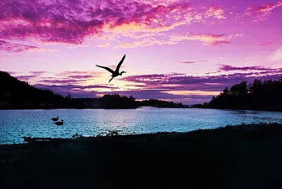 Foto jigsaw puzzle