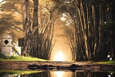 Reflejo
