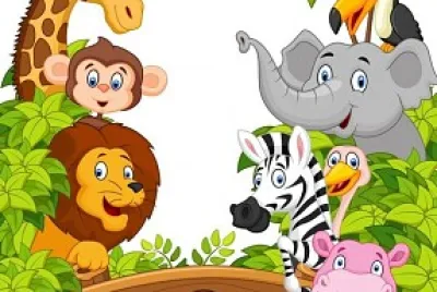 zoo