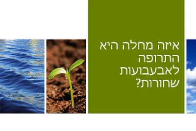 ביומימיקרי
