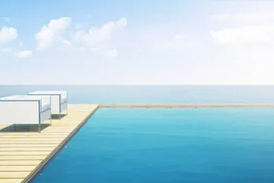 Toy