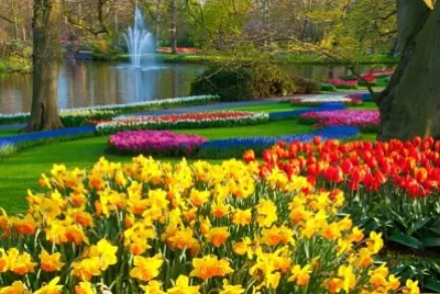jardim