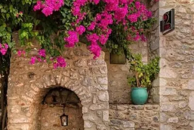flores