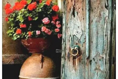 puerta