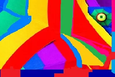 Toy