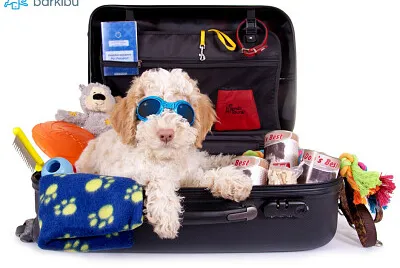 perro maleta