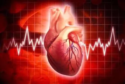 cuore