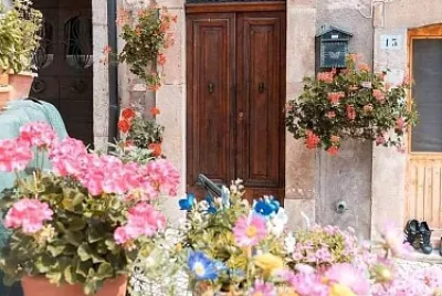 flores