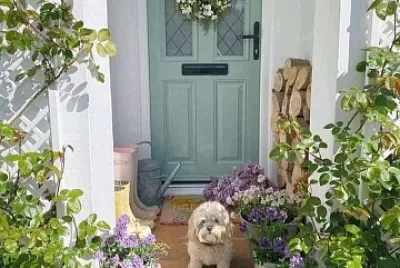 perro
