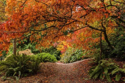 Couleurs d 'automne 2023