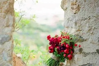 ventana
