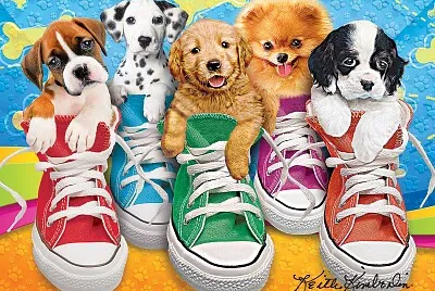 Dans les chaussures