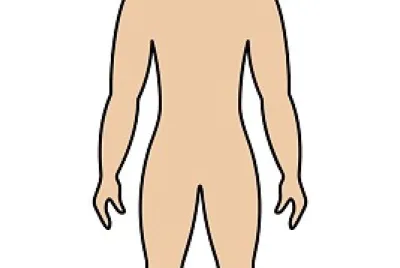 cuerpo humano