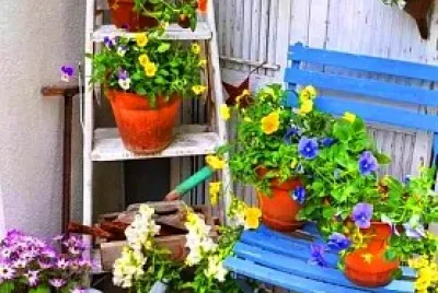 flores