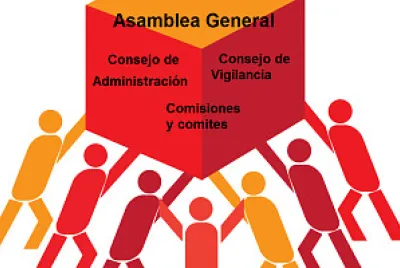 Organiza a tu cooperativa