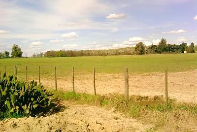 Campo y Paisaje