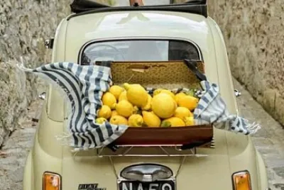 alimentos