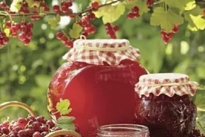 alimentos
