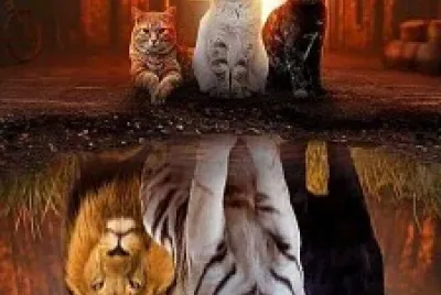 פאזל של GATITOS