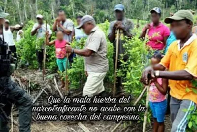 narcotrafico y su impacto en el campo jigsaw puzzle