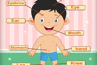 Parts of the body jigsaw puzzle