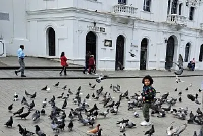 Mathy en Popayán jigsaw puzzle