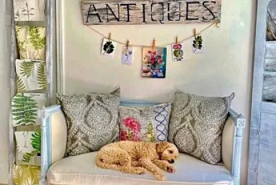 perro jigsaw puzzle