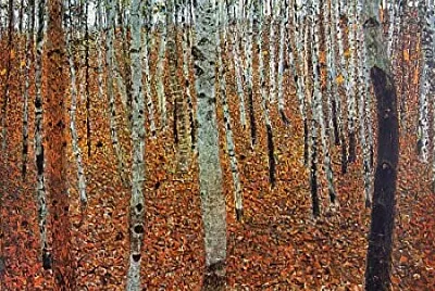 bosco di betulle - Klimt
