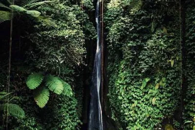 Catarata jigsaw puzzle