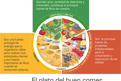 Plato Alimenticio jigsaw puzzle