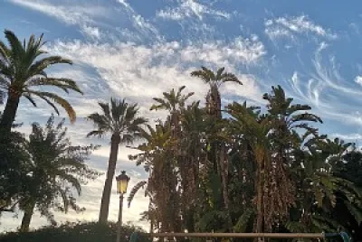 פאזל של amanecer