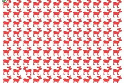 פאזל של colorful