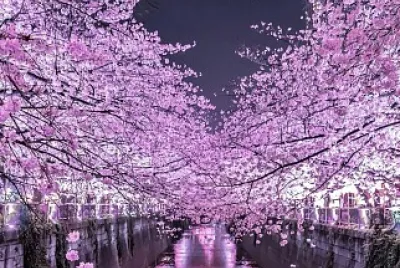 Japón