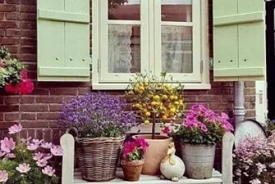 ventana